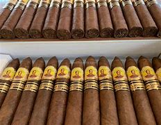 Bolívar Petit Belicoso 2009 Edición Limitada
