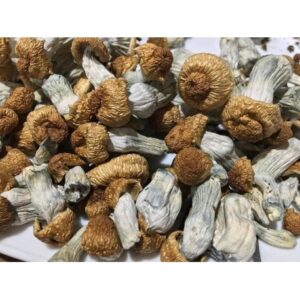 Comprar Sostanze Psicodélico en línea
